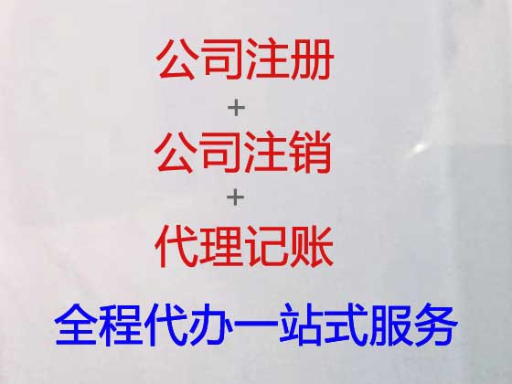 杭州记账报税代理|代办科技公司代账,公司注册代理